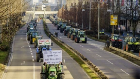 Warum nimmt die Transformation der Landwirtschaft nicht Fahrt auf, Herr Strohschneider?