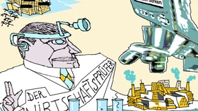 Wirtschaftsprüfer sind keine Bilanzpolizei