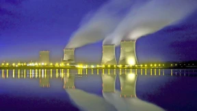 Die grüne Verwirrung