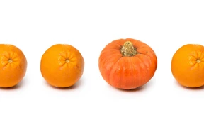 Ossis haben mehr Humor als Wessis