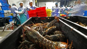 Amerikas Problem ist nicht der Import