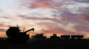 Zerschossene Nahrungsketten