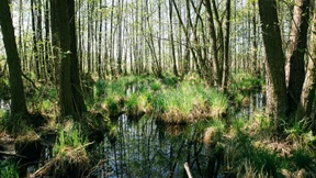 Auf dem langen Weg zur Klimaneutralität