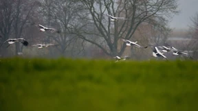 Bis zu 20 Grad am Donnerstag