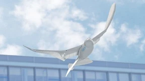 Auffällige Arbeitgeber