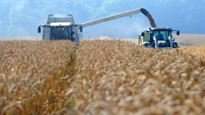 EU-Staaten einigen sich bei Agrarreform