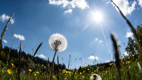 Knüll wird zum „Naturpark Knüll“