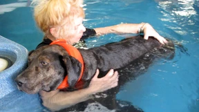 Haustiere in Amerika specken in Fitnesscentern ab 