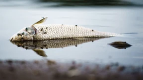 „Der Oberbürgermeister hat als Einziger reagiert“