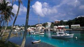 Google schleuste 20 Milliarden Euro durch Steuerschlupfloch