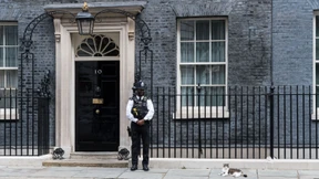 Kater Larry bekommt Konkurrenz in der Downing Street