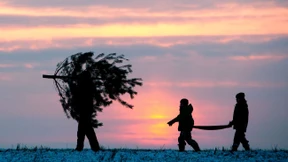 Das Fest, ein Kraftakt