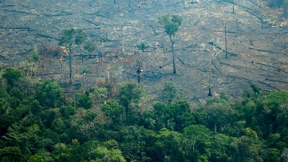 „Mercosur beschleunigt die Vernichtungsspirale des Amazonas“