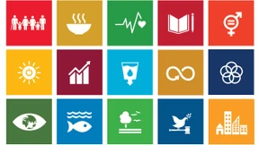 Die Macht der Investoren