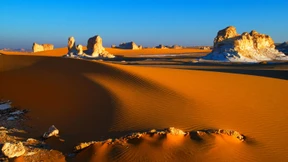 Mr. Peters Weg ins Große Sandmeer