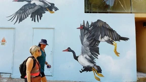 Tausche Wand gegen Bild