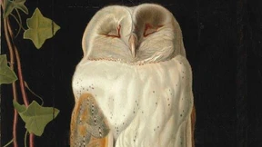 Augen auf beim Flohmarktkauf!