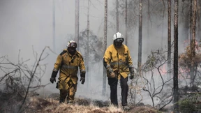 Ausbreitung der Waldbrände im Südwesten gestoppt