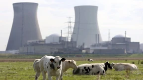 Belgien fährt umstrittenen Reaktor wieder hoch