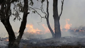 Ureinwohner erinnern an traditionelle Brandvorsorge