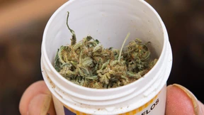 Patienten warten auf Cannabis-Blüten