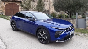 Zurück zu den Wurzeln