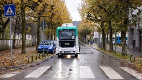 Riederwälder trauern Easy nach