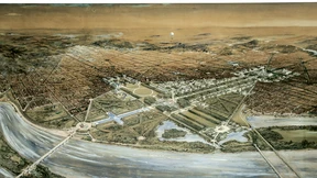 Sie brachten die Natur in die Großstadt zurück