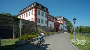 Wachstum schadet Pflanzen