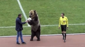 Bär am Ball – Tierschützer toben