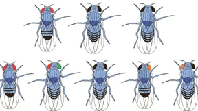 Bedingt aufklärungsbereit