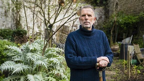 Der Geschmack von Erbsen