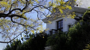 Spurensuche an Hollywoods Tatorten