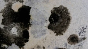 BGH begrenzt Schadenersatz bei Hauskauf