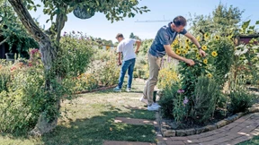 Warum Kleingärten in der Großstadt so gefragt sind