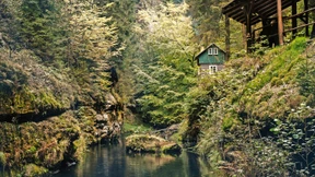 In Nachbarschaft von Fuchs und Hase