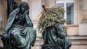 Baum, Buch, Bad Banks