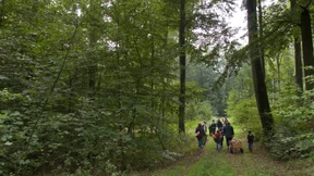 Wander-Apps sollen bestimmte Waldwege löschen