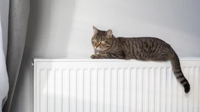 Mehr Freiheit – aber keine Klarheit