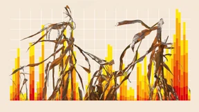 „Es fehlen die Jahre ohne extreme Ausschläge“