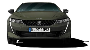 Klasse Kombi-Flunder