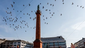 Grüne als stärkste Fraktion ohne Mehrheit