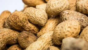 Neue Immuntherapie hilft Kleinkindern mit Erdnussallergie