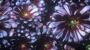 Es muss nicht immer Grün sein