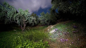 Irgendwann wird alles gut