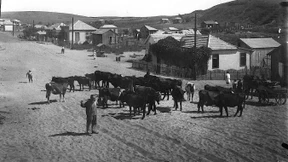 Projektionen auf ein erträumtes Staatsgebilde