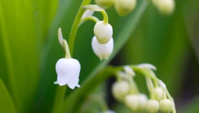 „Sell in May“ steht auf dem Prüfstand