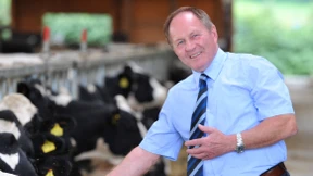 Bauernverband gegen Suedlink-Erdkabel