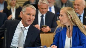 Ein Landesverrat der AfD?