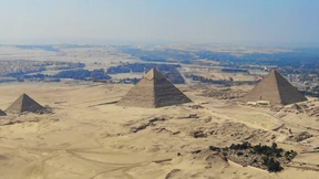 Musk oder keine Masken